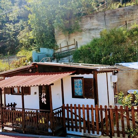 Bungalow Sixdays 2 Кампороссо Экстерьер фото